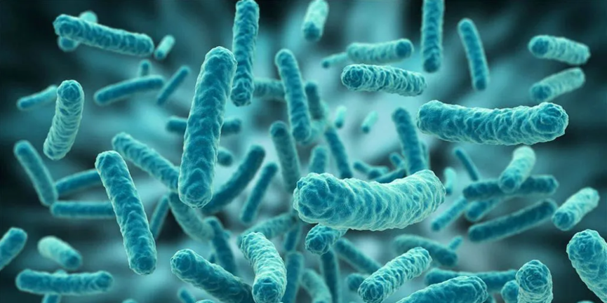 生物制藥潔凈密碼：內毒素檢測與控制策略全解析