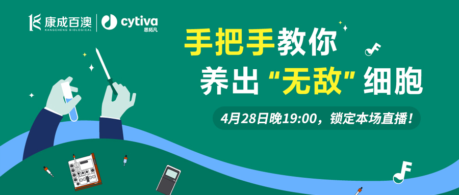 【直播預(yù)告】康成百澳聯(lián)合Cytiva思拓凡直播間，手把手教你養(yǎng)出無(wú)敵細(xì)胞