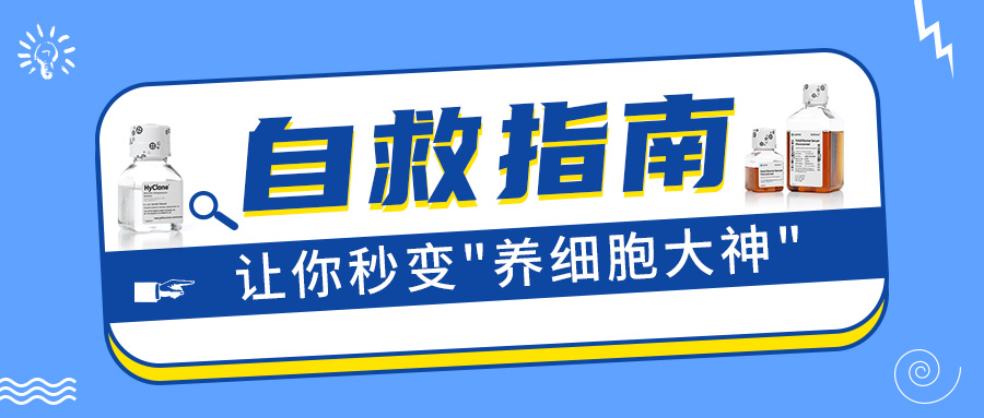 細胞擺爛？這份自救指南讓你秒變養細胞大神