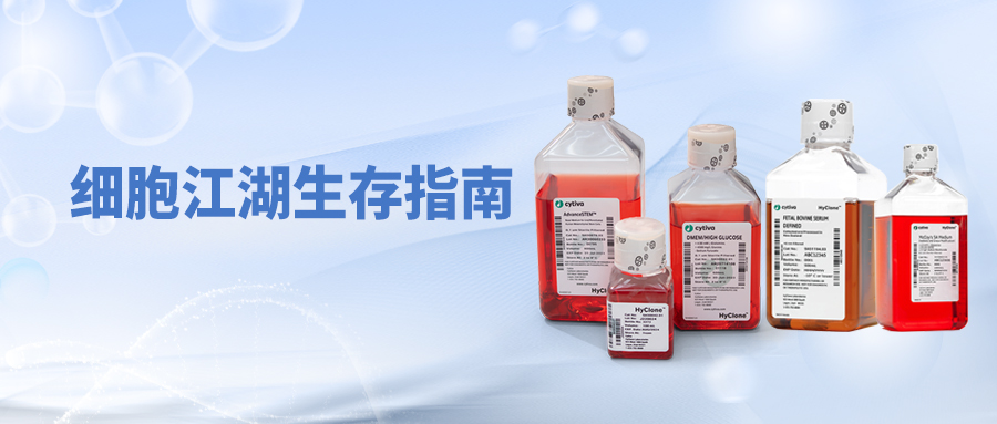 細胞江湖生存指南：從“手忙腳亂”到“游刃有余”的完全修煉手冊
