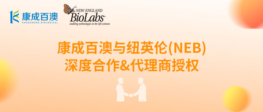 新增代理：康成百澳與紐英倫(NEB)深度合作&代理商授權