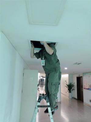 專業滅鼠，守護健康——廣漢工廠滅鼠服務咨詢與信息指南